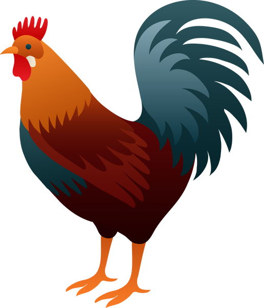 Colorful Cartoon Rooster Illustration