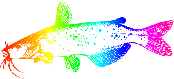 Colorful_ Catfish_ Illustration.png