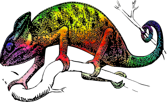 Colorful Chameleon Artwork