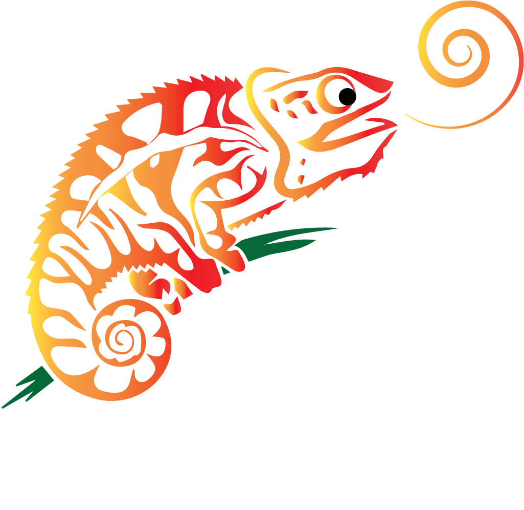 Colorful Chameleon Graphic Logo