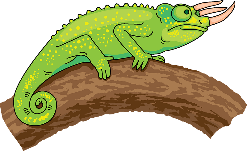 Colorful Chameleon Illustration