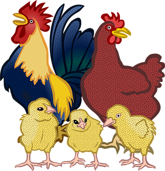 Colorful Chicken Family Illustration