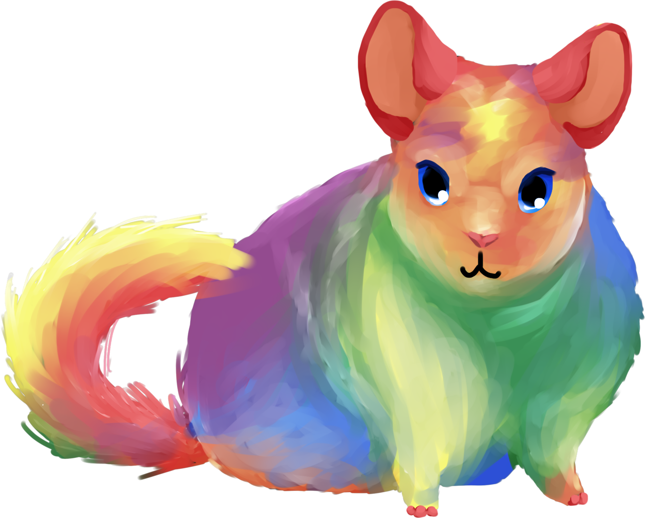 Colorful Chinchilla Artwork