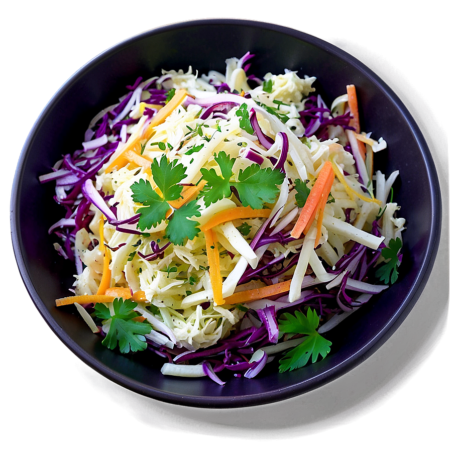 Colorful Coleslaw Salad Png Cvu30