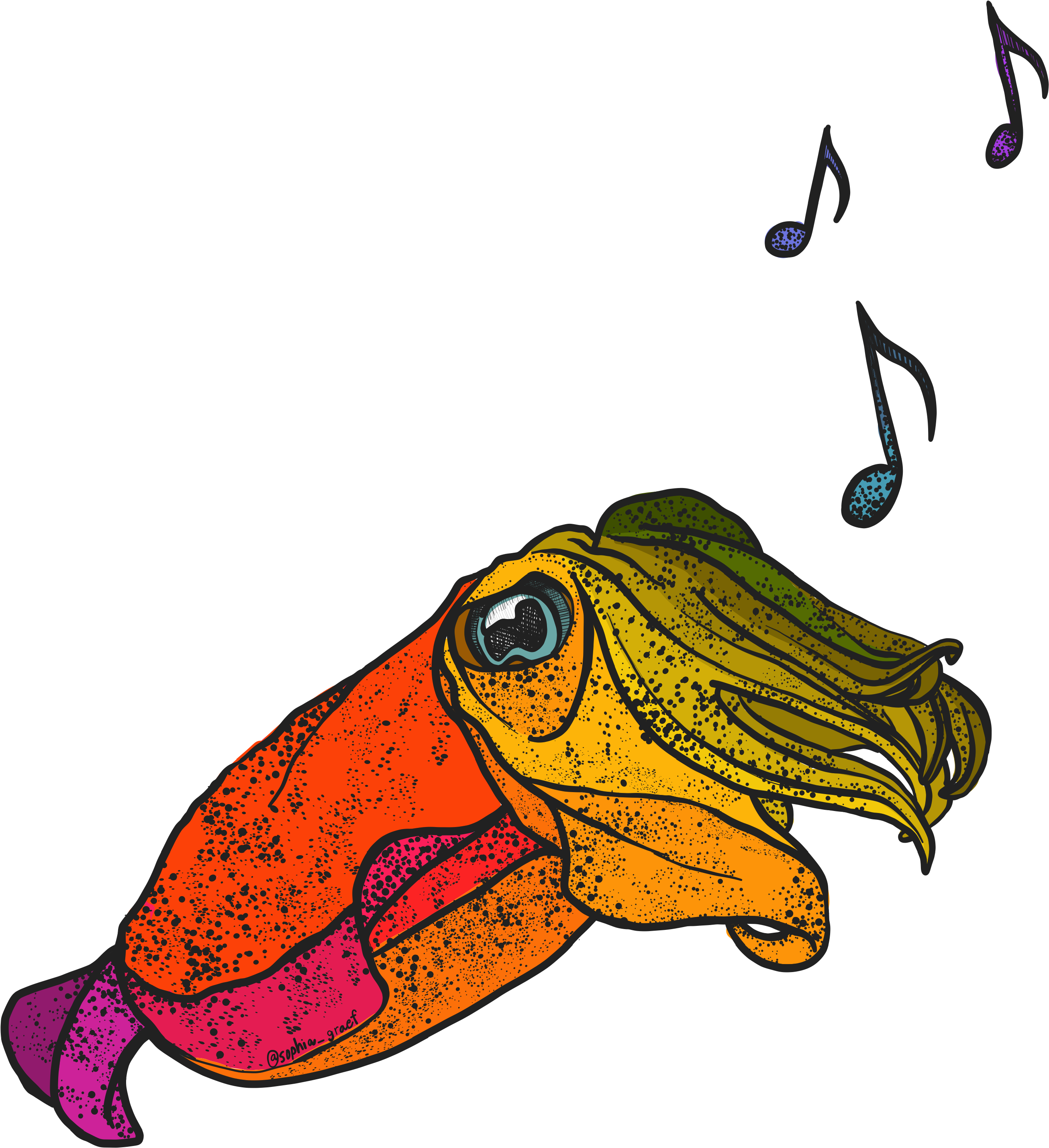 Colorful Cuttlefish Illustration