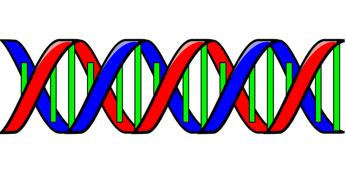 Colorful D N A Double Helix Illustration