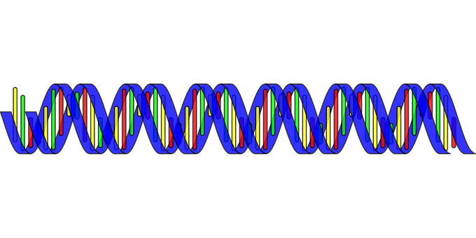 Colorful D N A Double Helix Structure