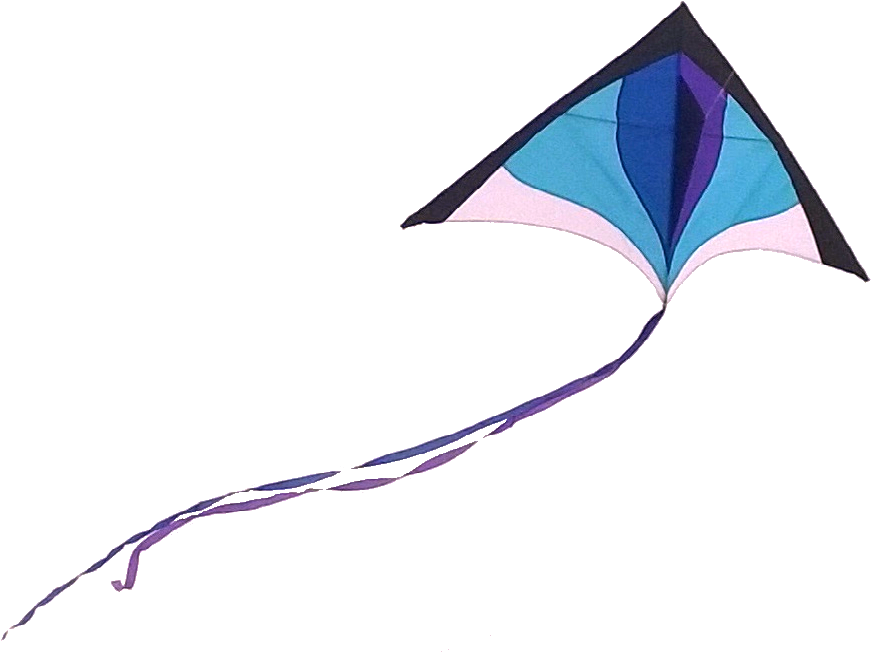 Colorful Diamond Kite Flying