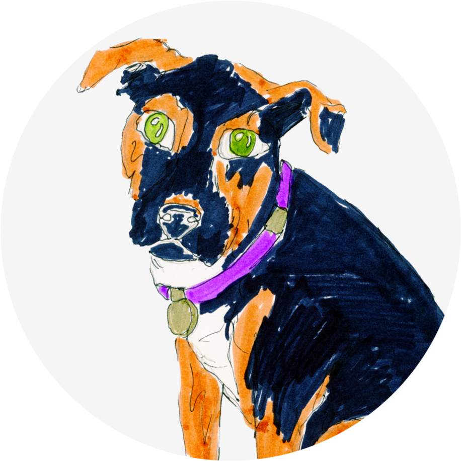 Colorful Dog Sketch Artwork