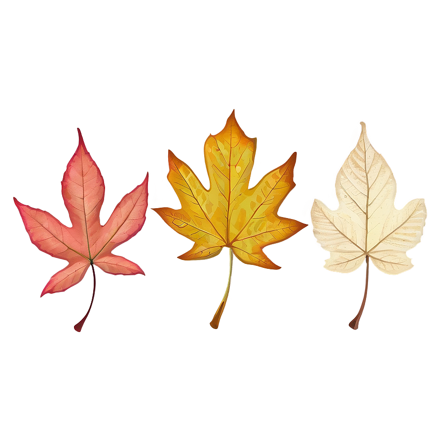 Colorful Fallen Leaves Collection Png 06292024