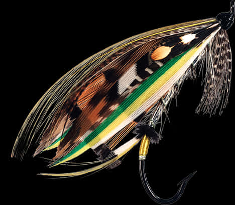 Colorful Feather Fishing Fly