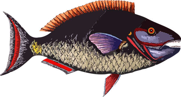 Colorful Fish Illustration