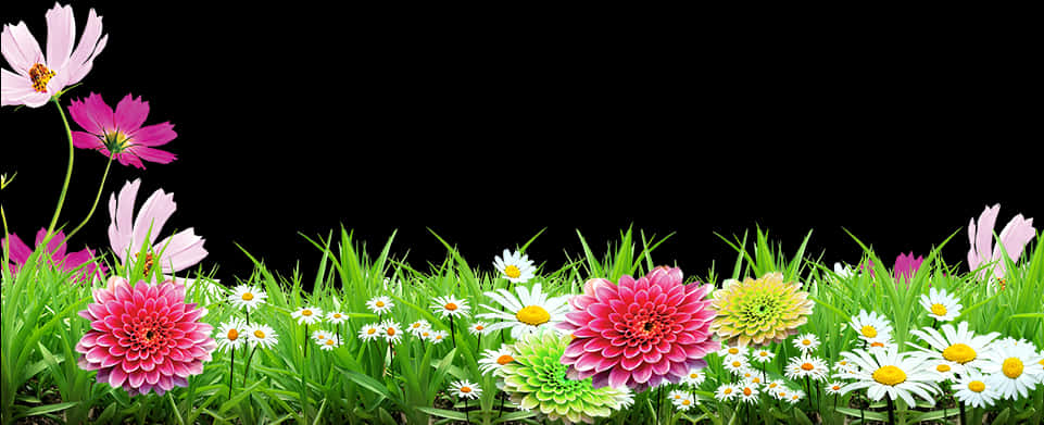 Colorful Floral Grass Border Black Background