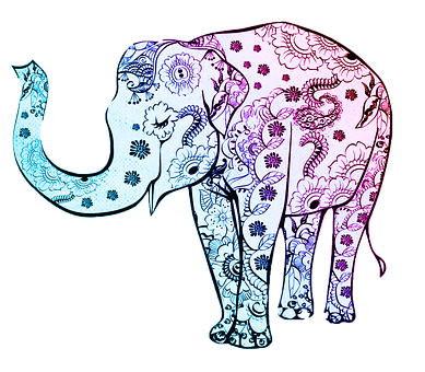 Colorful Floral Pattern Elephant