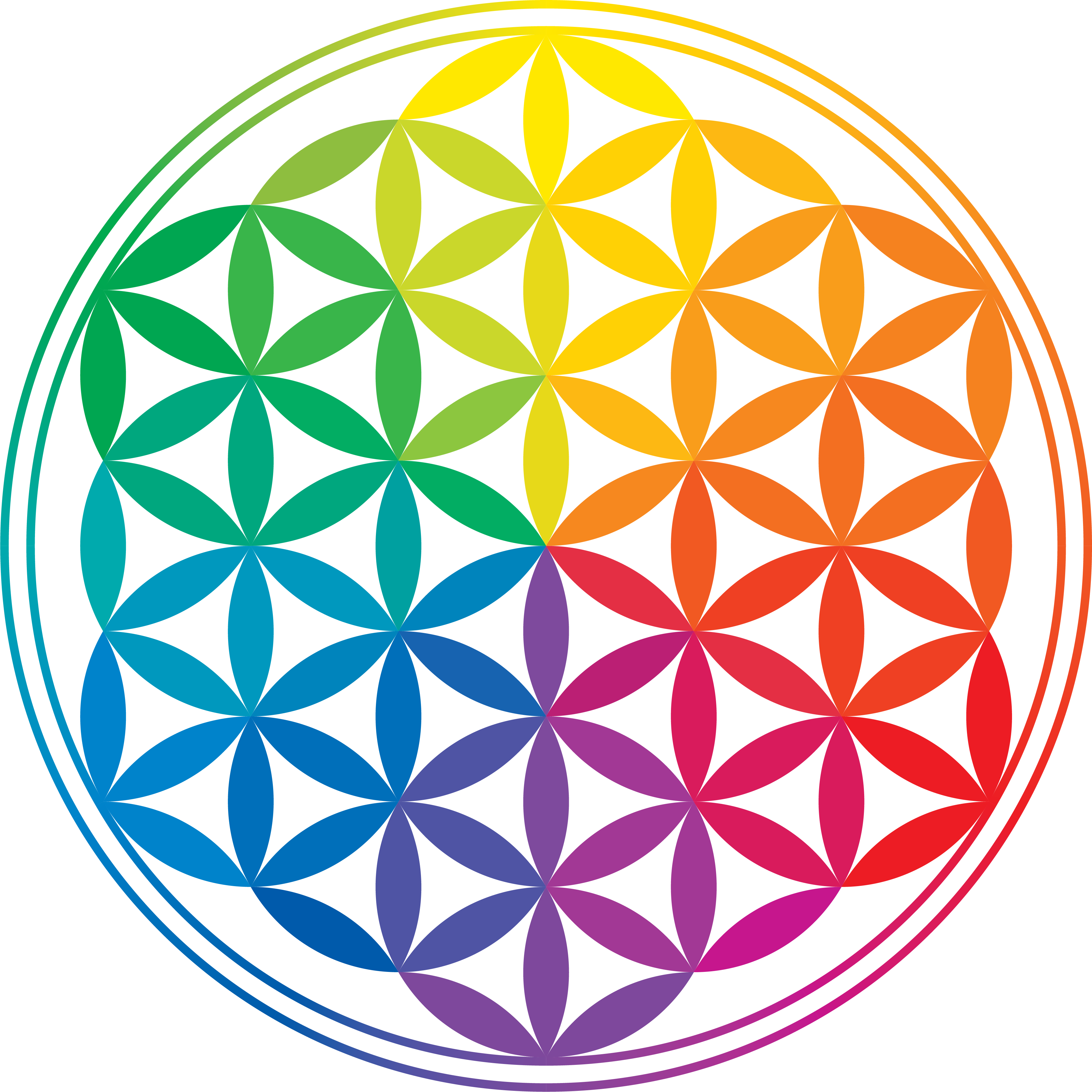 Colorful Flowerof Life Pattern