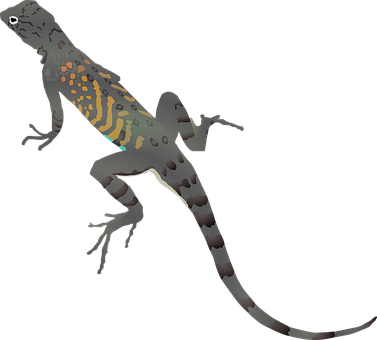 Colorful Gecko Silhouette