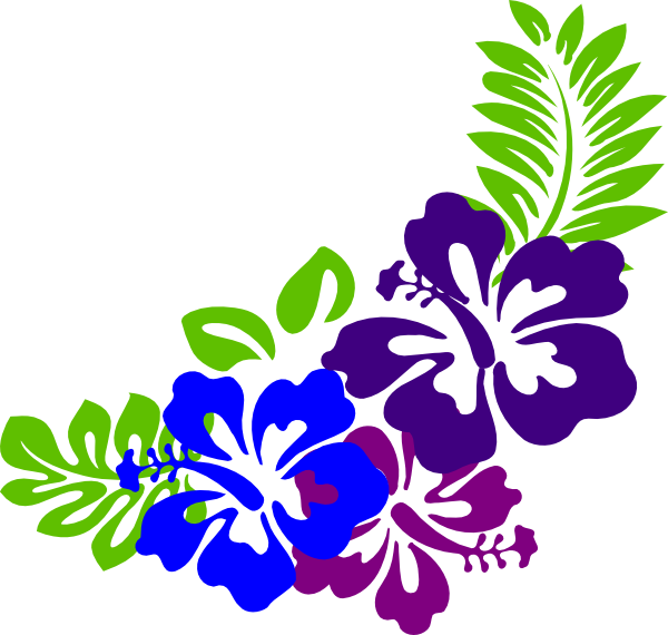 Colorful Hawaiian Flower Graphic