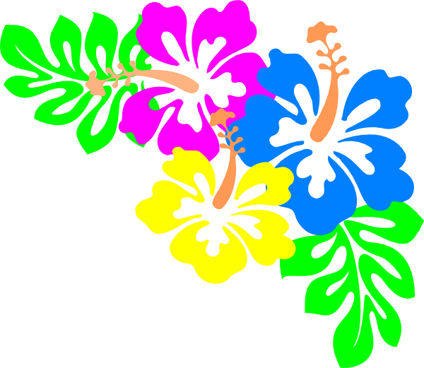 Colorful Hawaiian Flowers Illustration