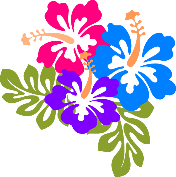 Colorful Hawaiian Flowers Illustration