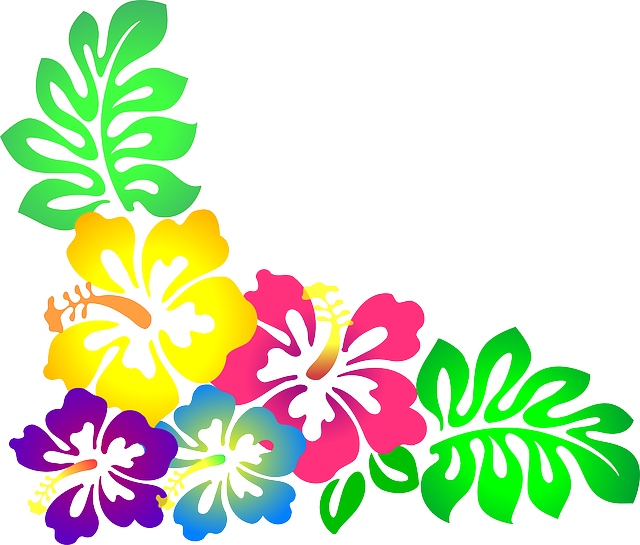 Colorful Hawaiian Hibiscus Flowers