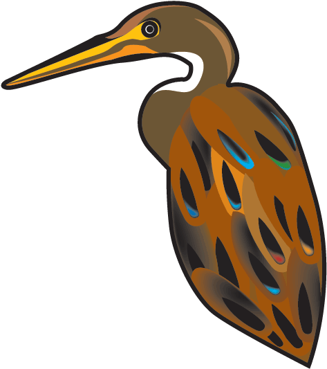 Colorful Heron Illustration