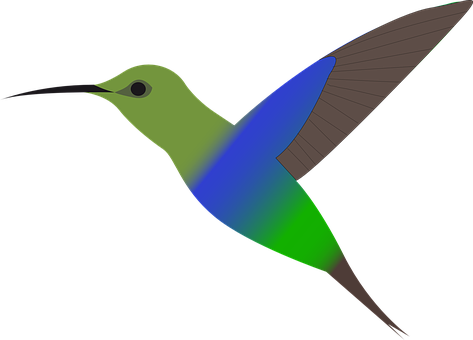 Colorful Hummingbird Vector Art