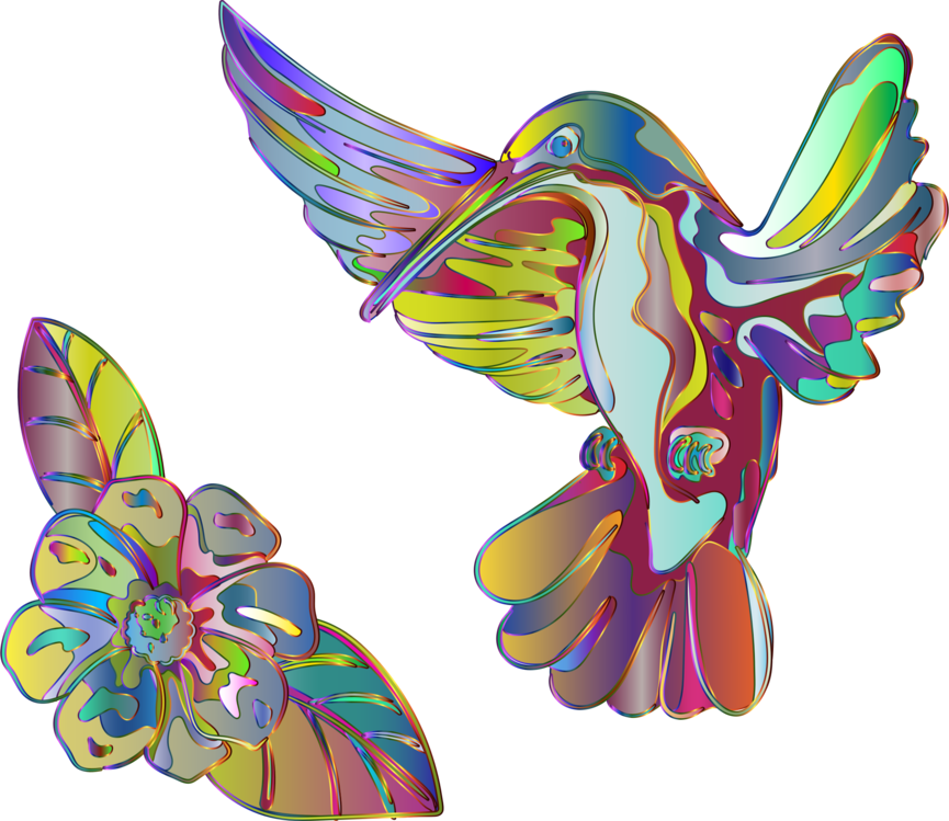 Colorful Hummingbirdand Flower Art