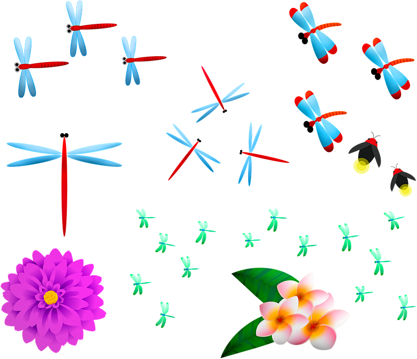 Colorful Insectsand Flowers Illustration