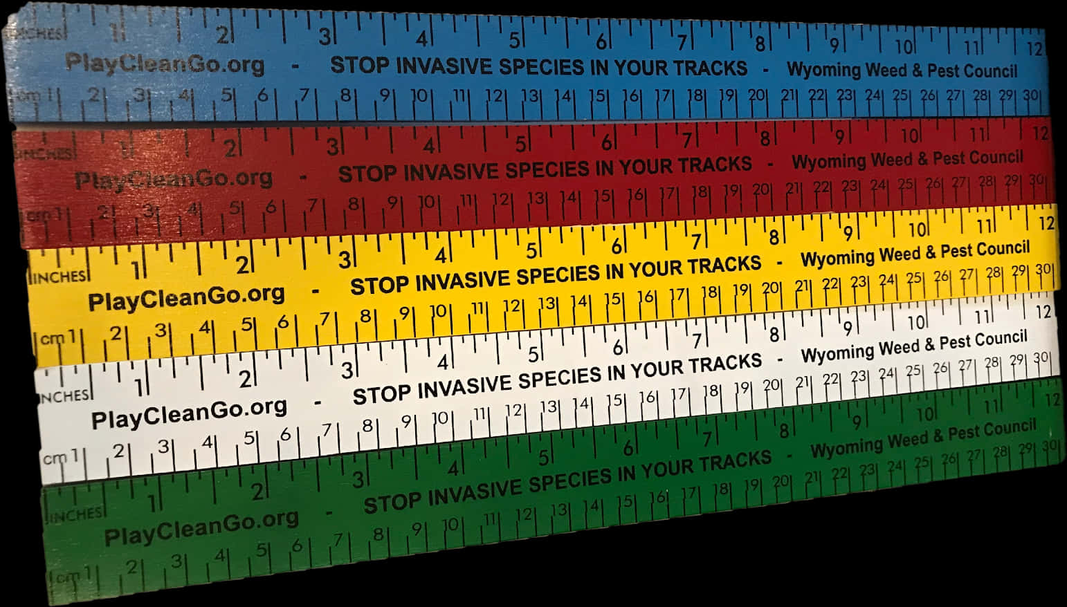 Colorful Invasive Species Awareness Rulers