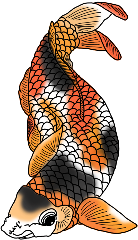 Colorful Koi Fish Illustration