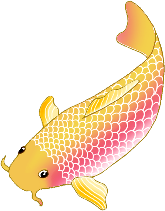 Colorful Koi Fish Illustration