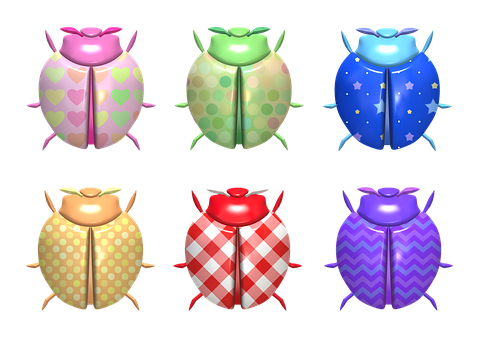 Colorful Ladybug Collection