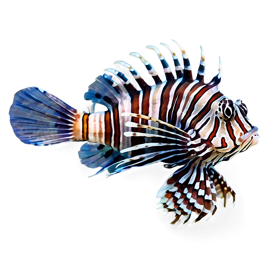 Colorful Lionfish Png 35