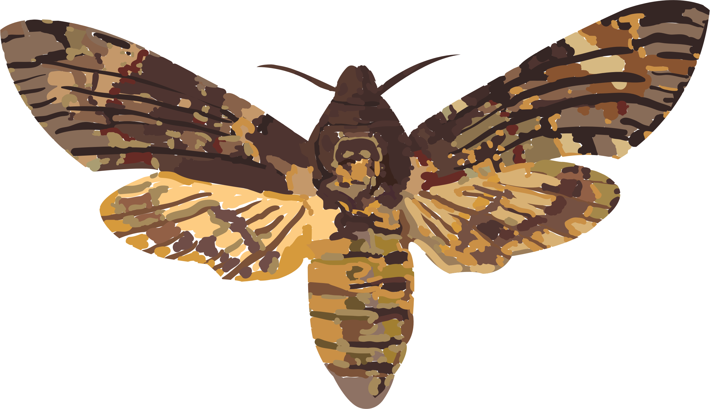 Colorful Moth Illustration