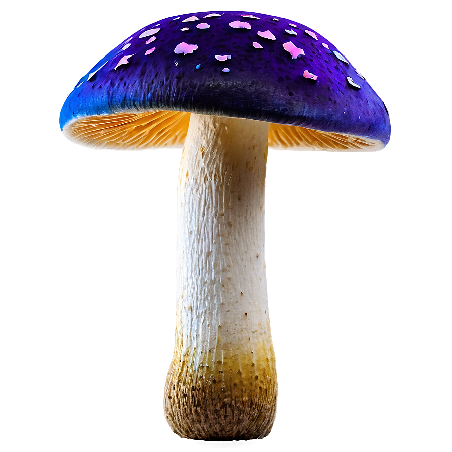 Colorful Mushroom Png 36