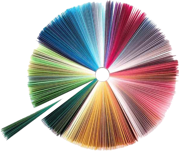 Colorful Paint Swatch Fan