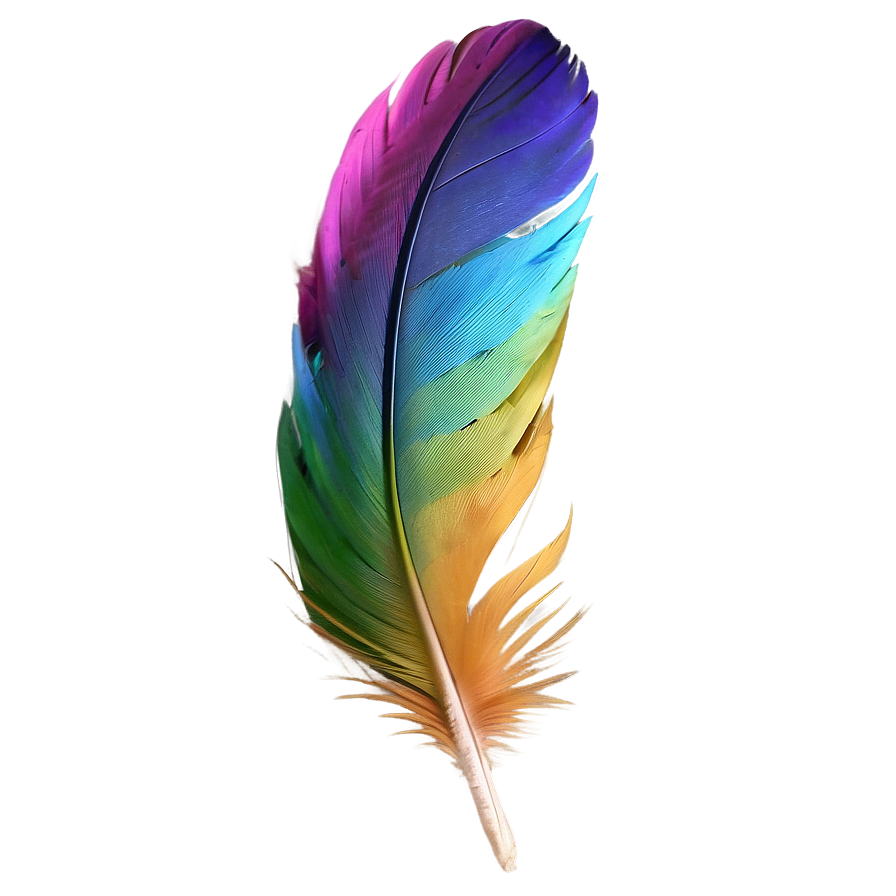 Colorful Parrot Feather Png Xwt