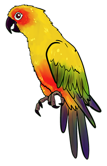 Colorful Parrot Illustration