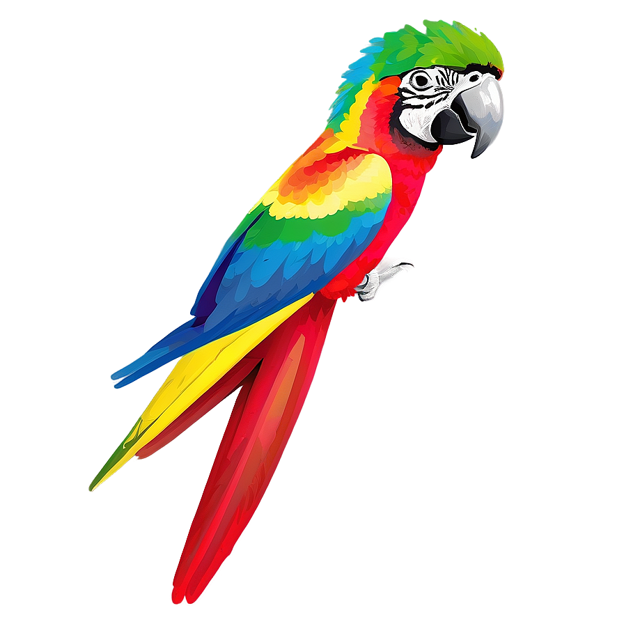 Colorful Parrot Png Duc