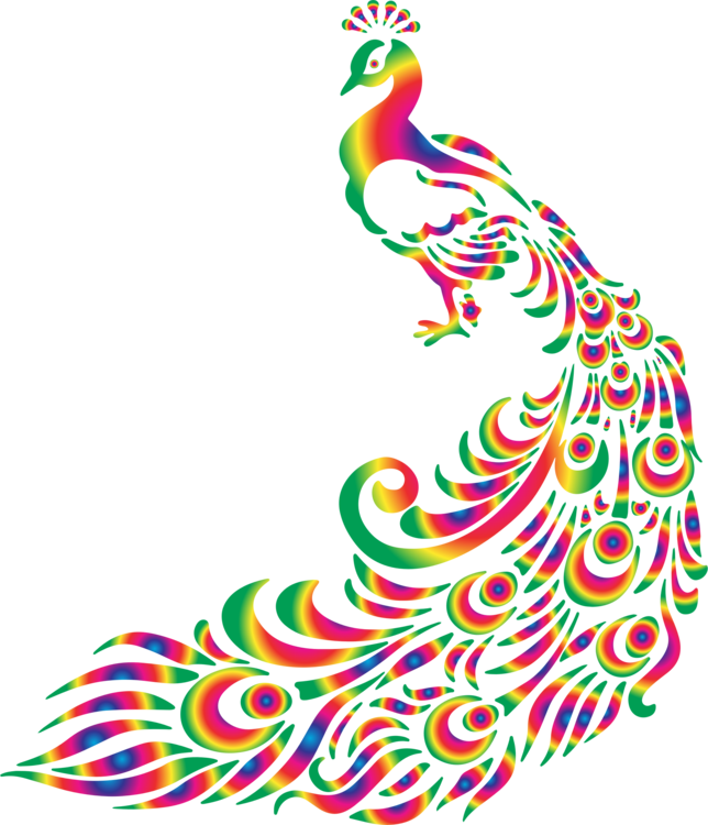 Colorful Peacock Art Illustration