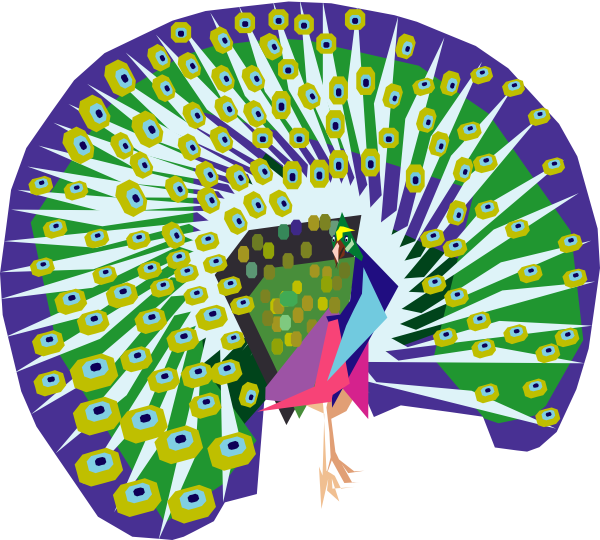 Colorful Peacock Display Illustration