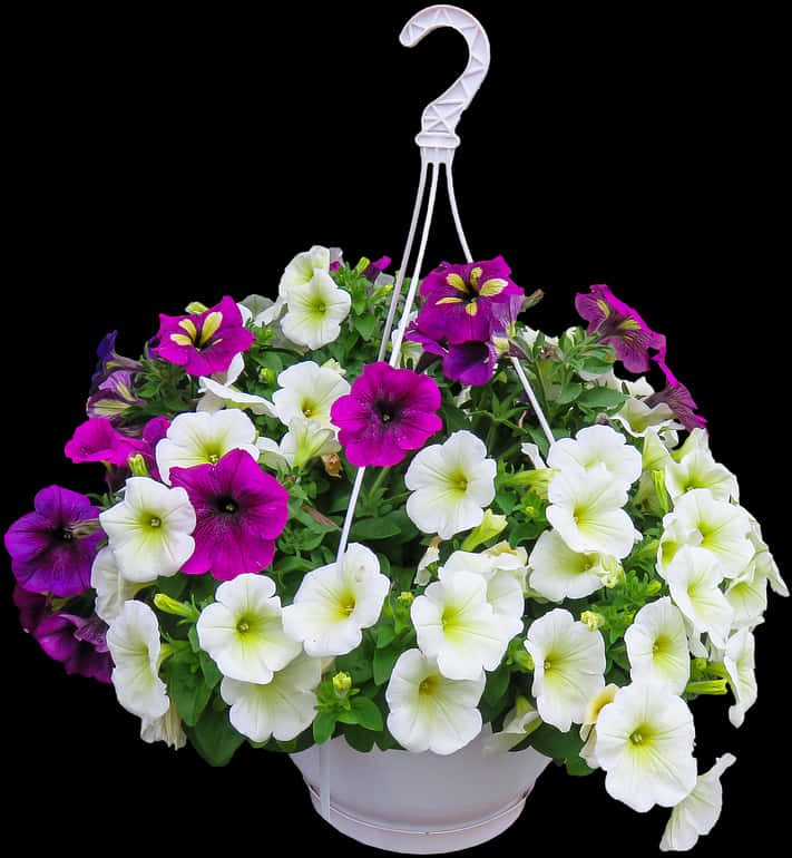 Colorful Petunia Hanging Basket Floral Display.jpg