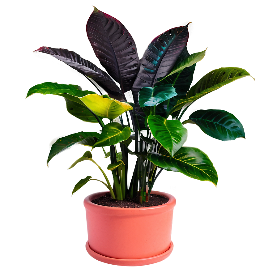 Colorful Plants Png 99