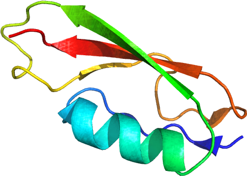 Colorful Protein Structure3 D Model