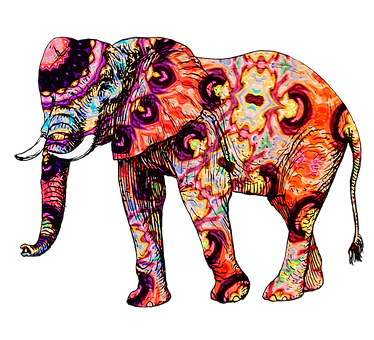 Colorful Psychedelic Elephant Art