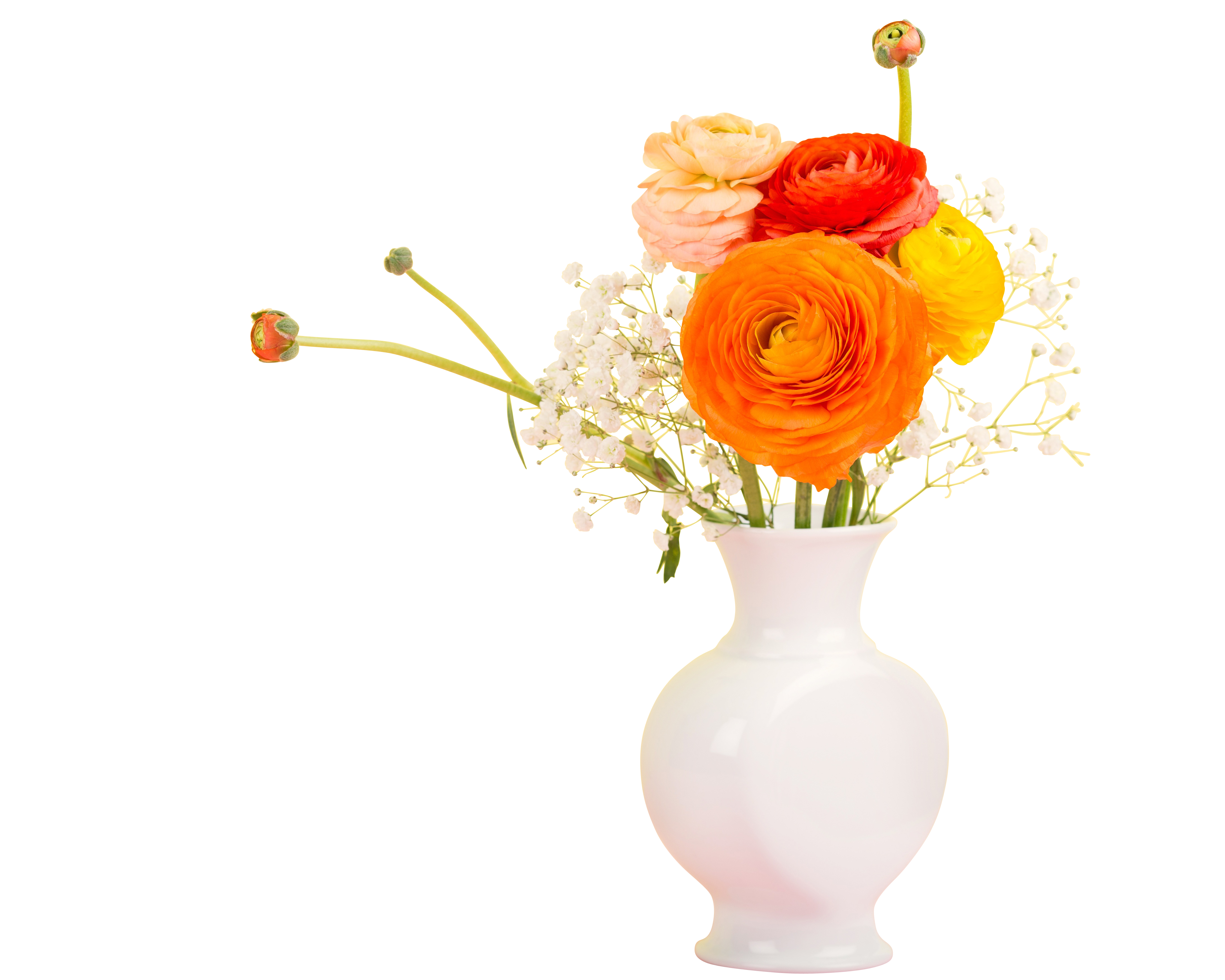 Colorful_ Ranunculus_ Bouquet_in_ White_ Vase