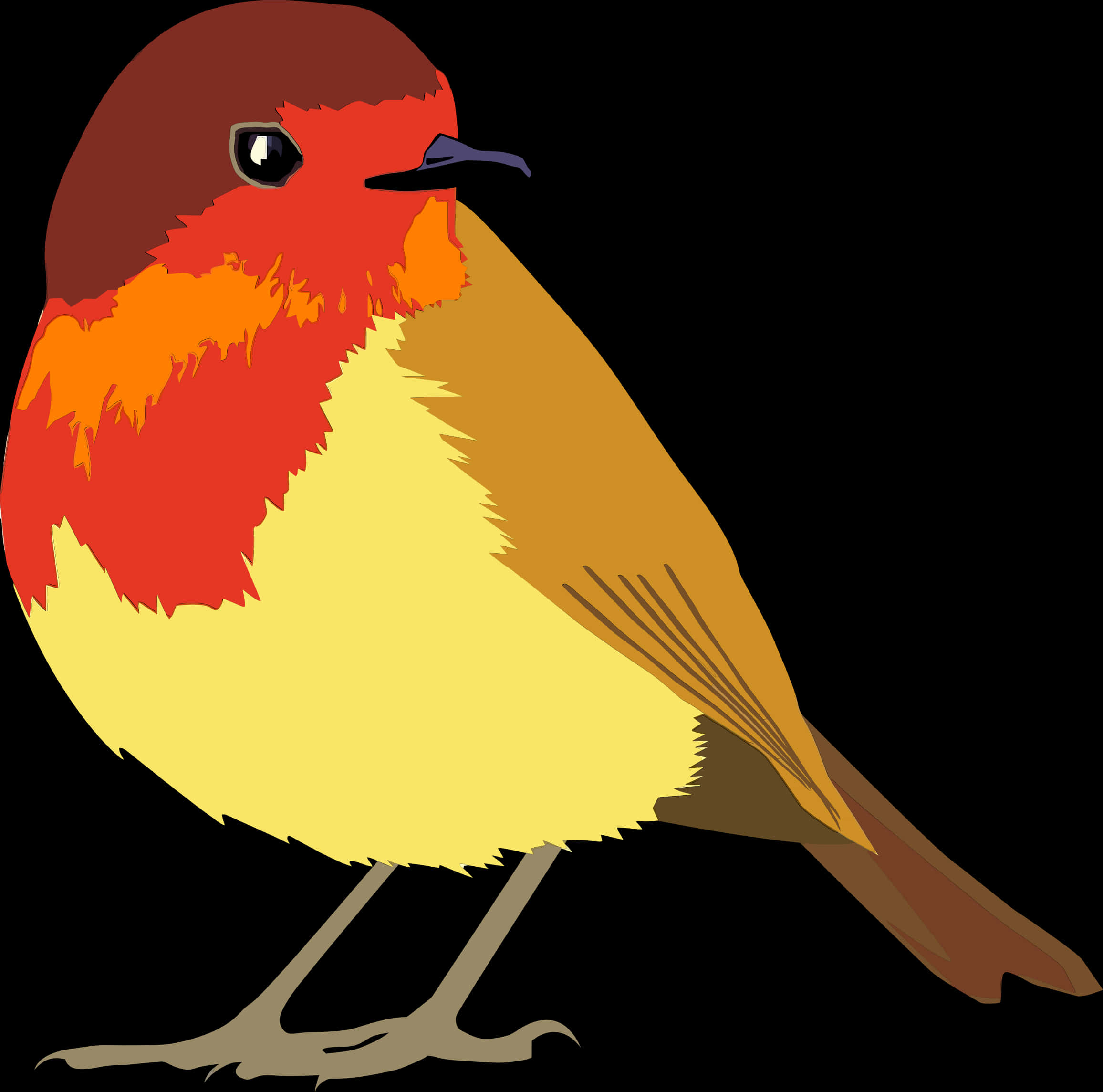 Colorful Robin Illustration