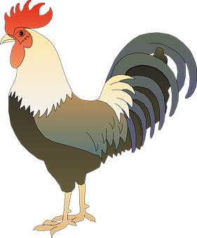 Colorful Rooster Illustration