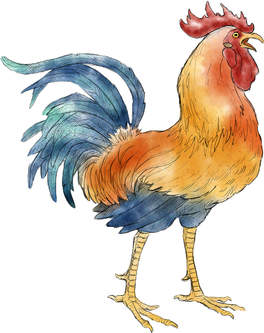 Colorful Rooster Illustration