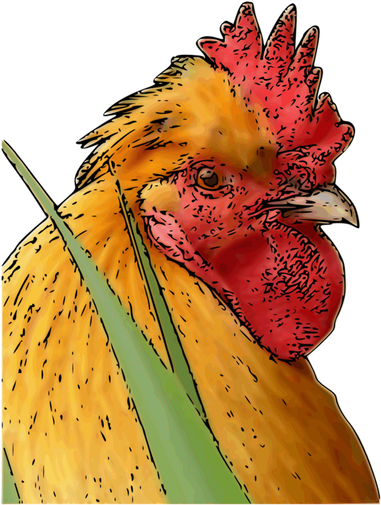 Colorful Rooster Portrait